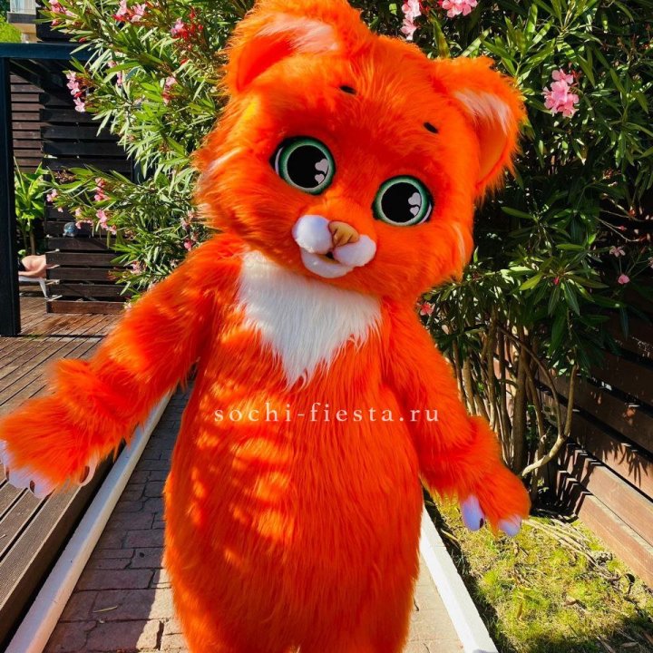 Аниматор Котик в Ханты-Мансийске