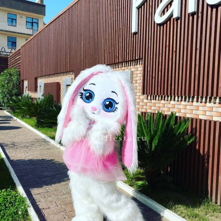 Аниматор Зайка в Ханты-Мансийске