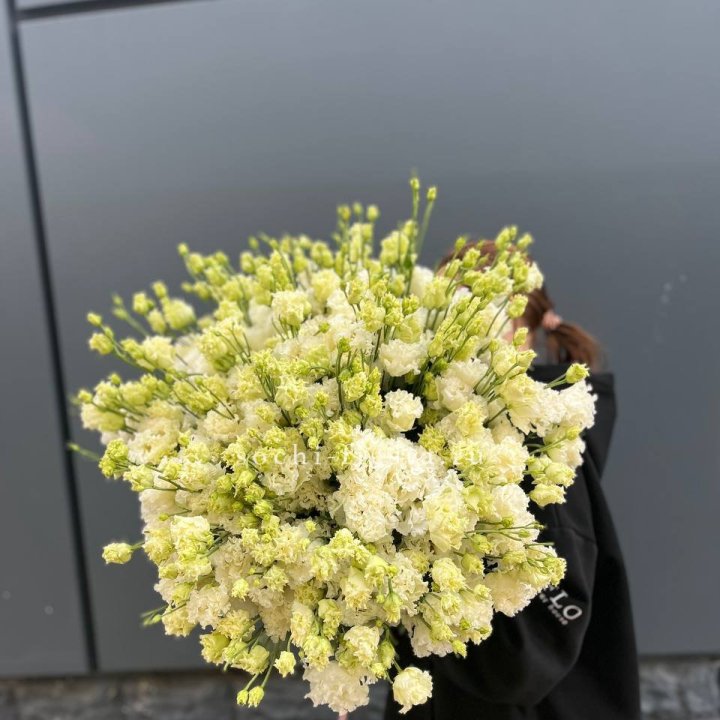 51 белая эустома в Ханты-Мансийске