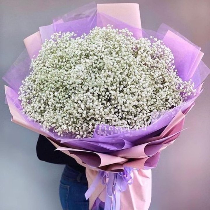 Облако белых гипсофил в Ханты-Мансийске