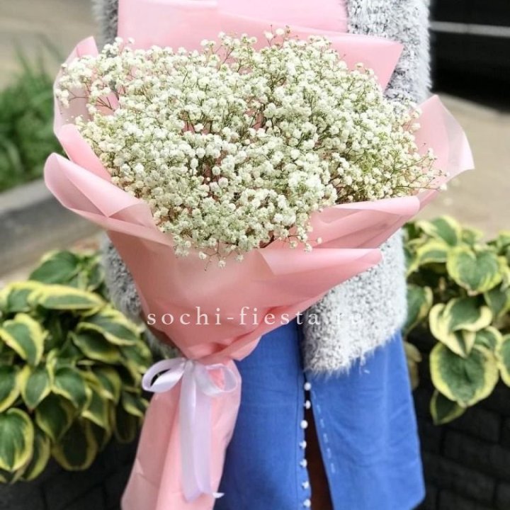 Белоснежные гипсофилы в Ханты-Мансийске