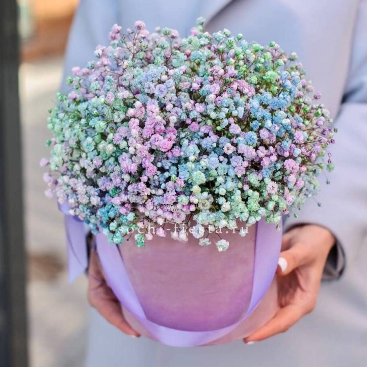 Гипсофилы в шляпной коробке "Кандилайт" в Ханты-Мансийске