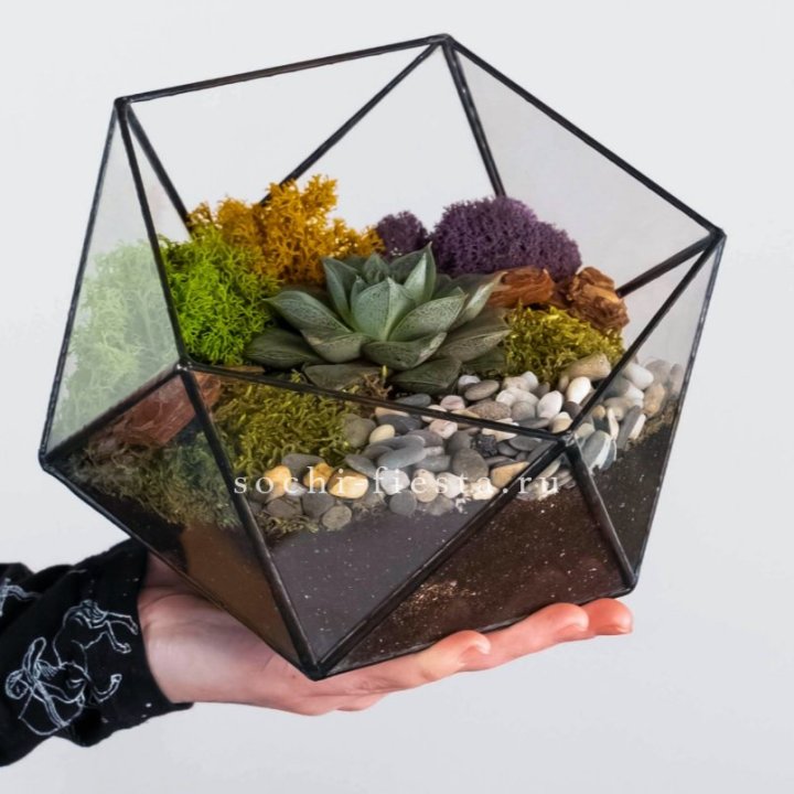 Флорариум “Икосаэдр” с суккулентом Каменная Роза в Ханты-Мансийске