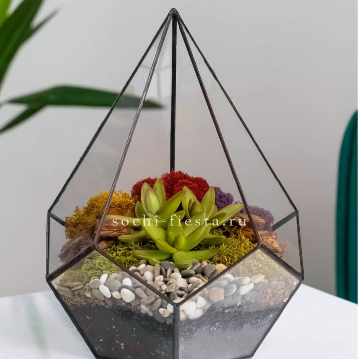 Флорариум Капля с суккулентом в Ханты-Мансийске