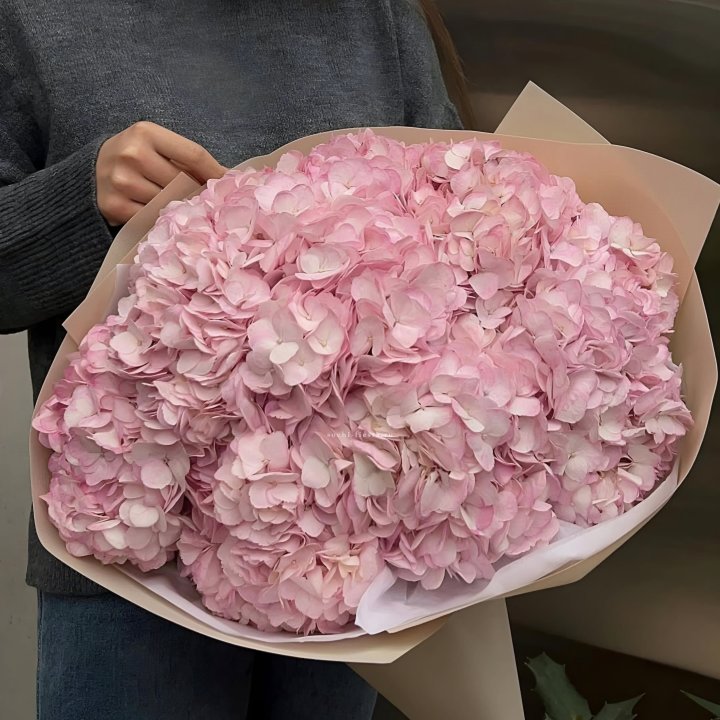 Гортензия  "РОЗЕ" в Ханты-Мансийске