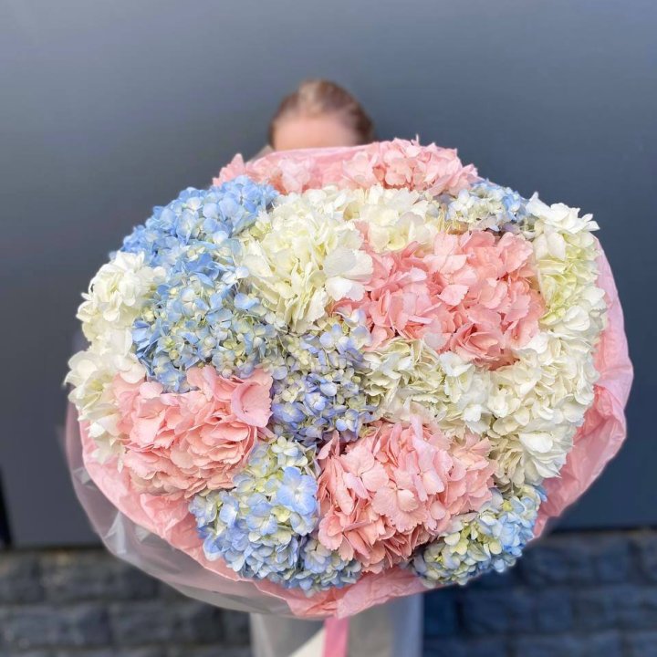 19 гортензий микс в Ханты-Мансийске