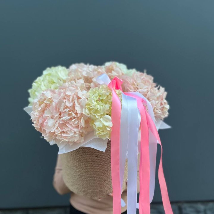 7 гортензий в кашпо в Ханты-Мансийске