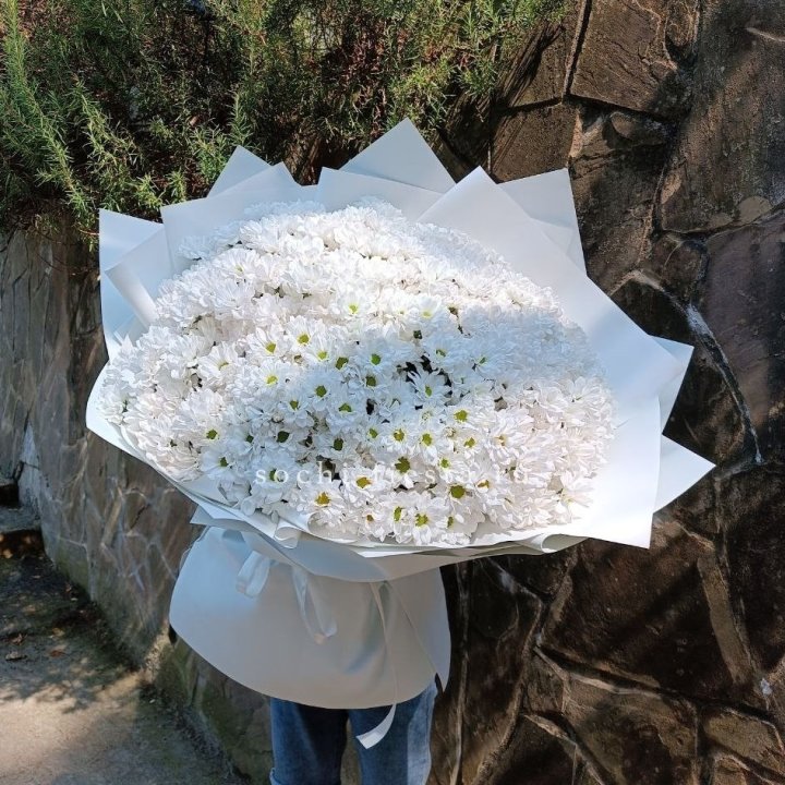 Облако хризантем №2 в Ханты-Мансийске