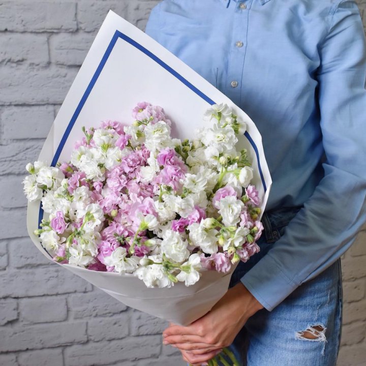 Маттиола в Ханты-Мансийске