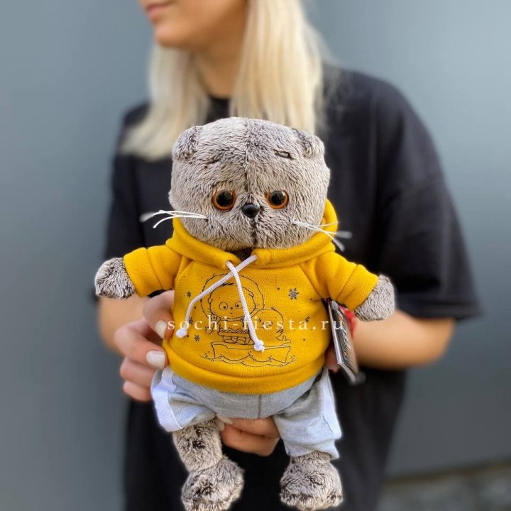 Кот Басик в худи в Ханты-Мансийске