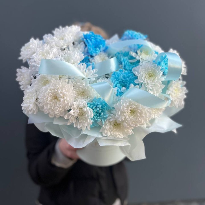 Хризнтемы в боксе в Ханты-Мансийске