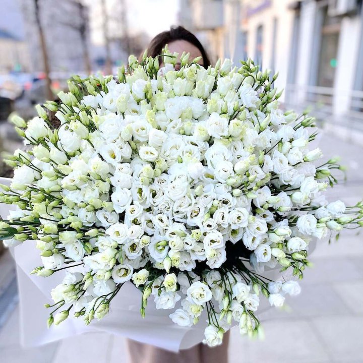 101 белая эустома в Ханты-Мансийске