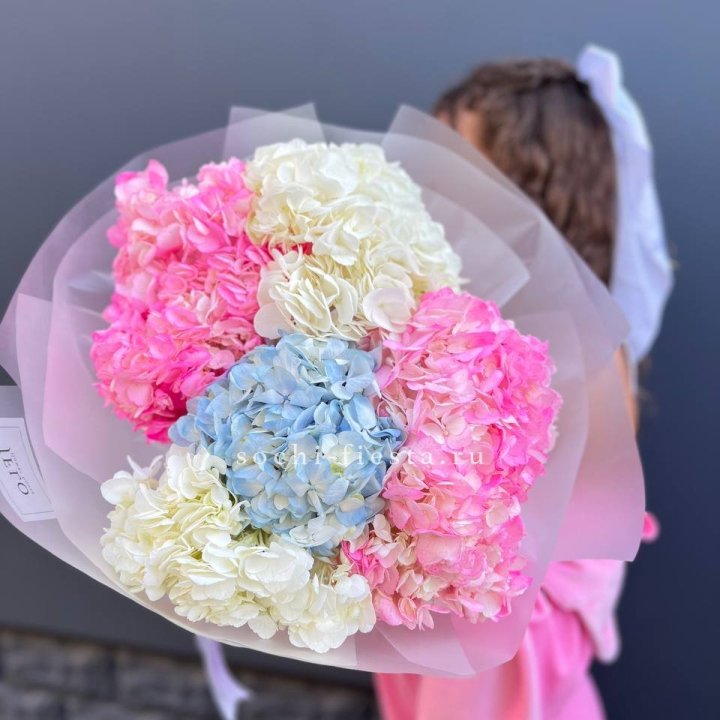 7 гортензий микс в Ханты-Мансийске