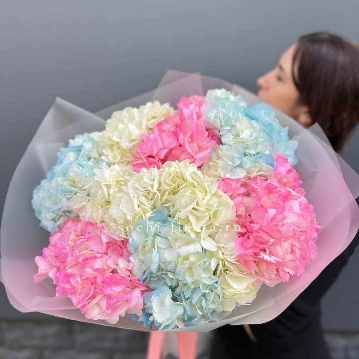9 гортензий микс в Ханты-Мансийске