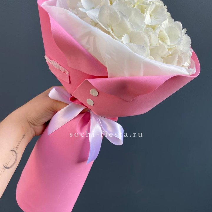 Гортензия в розовом пиджаке в Ханты-Мансийске