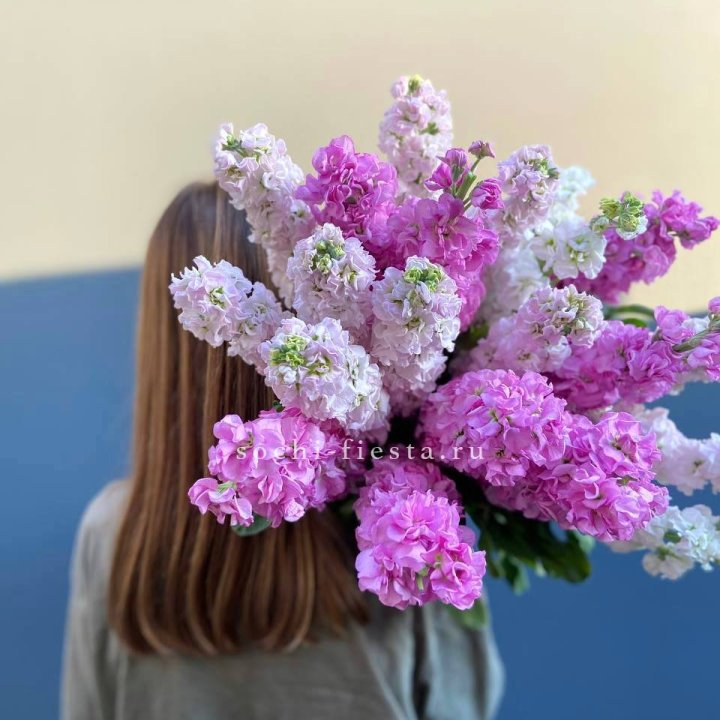 Охапка маттиолы в Ханты-Мансийске