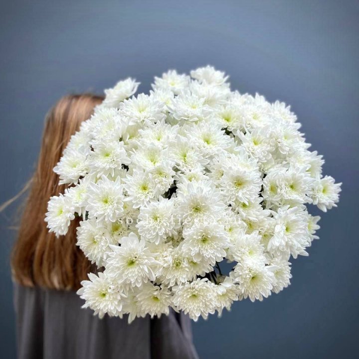 Охапка Хризантемы кустовой в Ханты-Мансийске