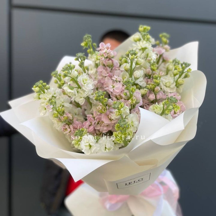 29 маттиол  в Ханты-Мансийске