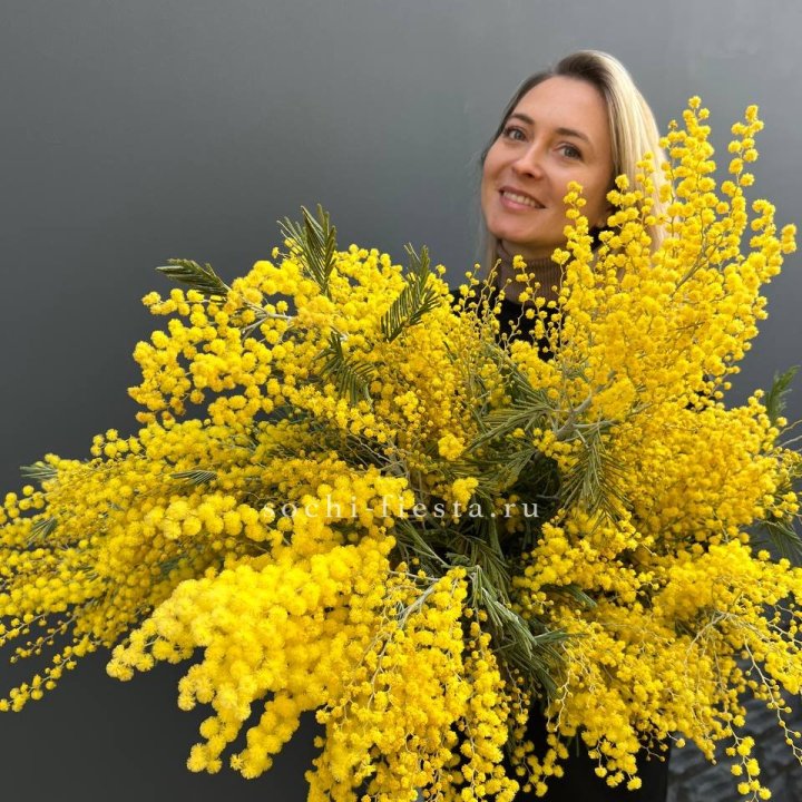 Охапка мимозы №2 в Ханты-Мансийске