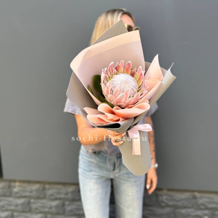 Протея мини  в Ханты-Мансийске