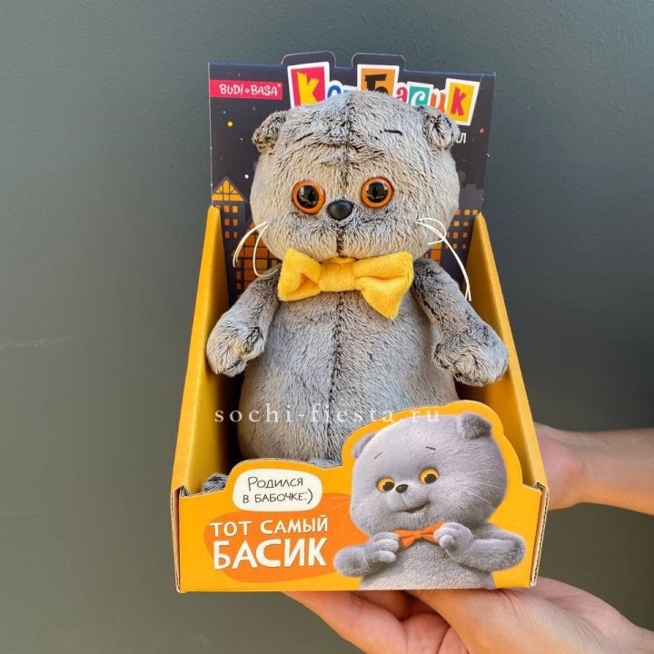 Кот Басик с бабочкой в Ханты-Мансийске